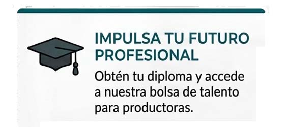 Formación 4